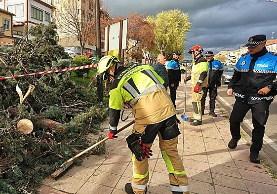 Bomberos de la Diputación de Salamanca