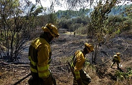 Una cuadrilla de extinción de incendios en un fuego en la provincia durante 2024.