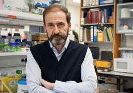 El profesor Alberto Orfao.