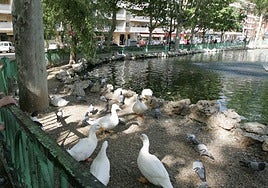 Parque de La Alamedilla en Salamanca en una imagen de archivo.
