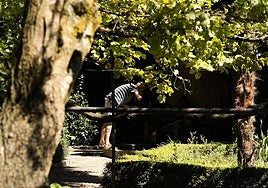 Un hombre se refresca en una fuente del Huerto de Calixto y Melibea durante una ola de calor