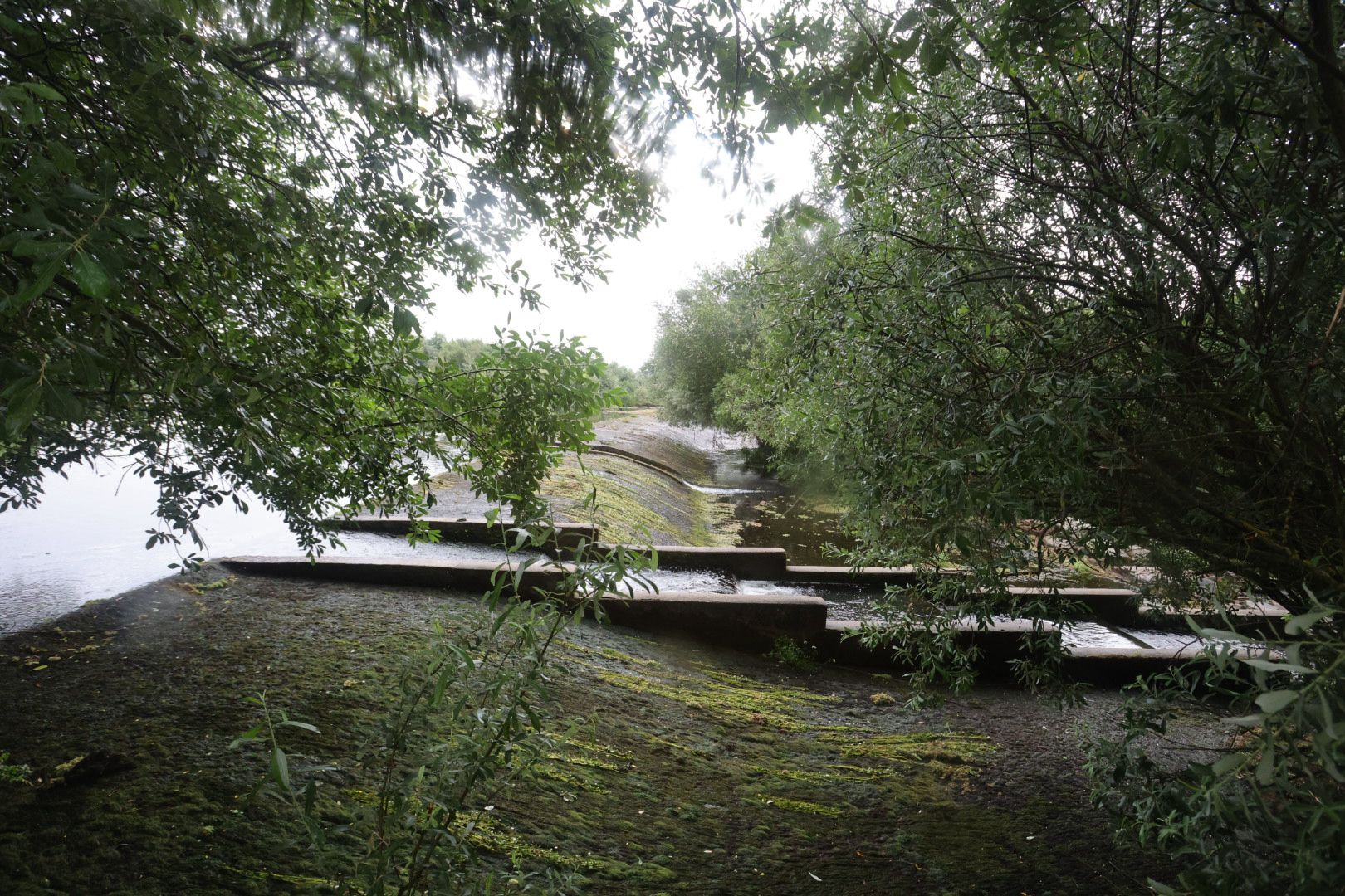 La zona donde perdió la vida el joven de 14 años en Alba de Tormes