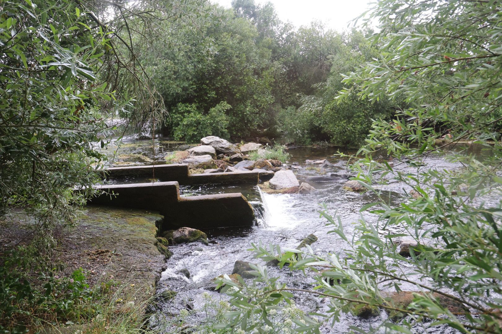 La zona donde perdió la vida el joven de 14 años en Alba de Tormes