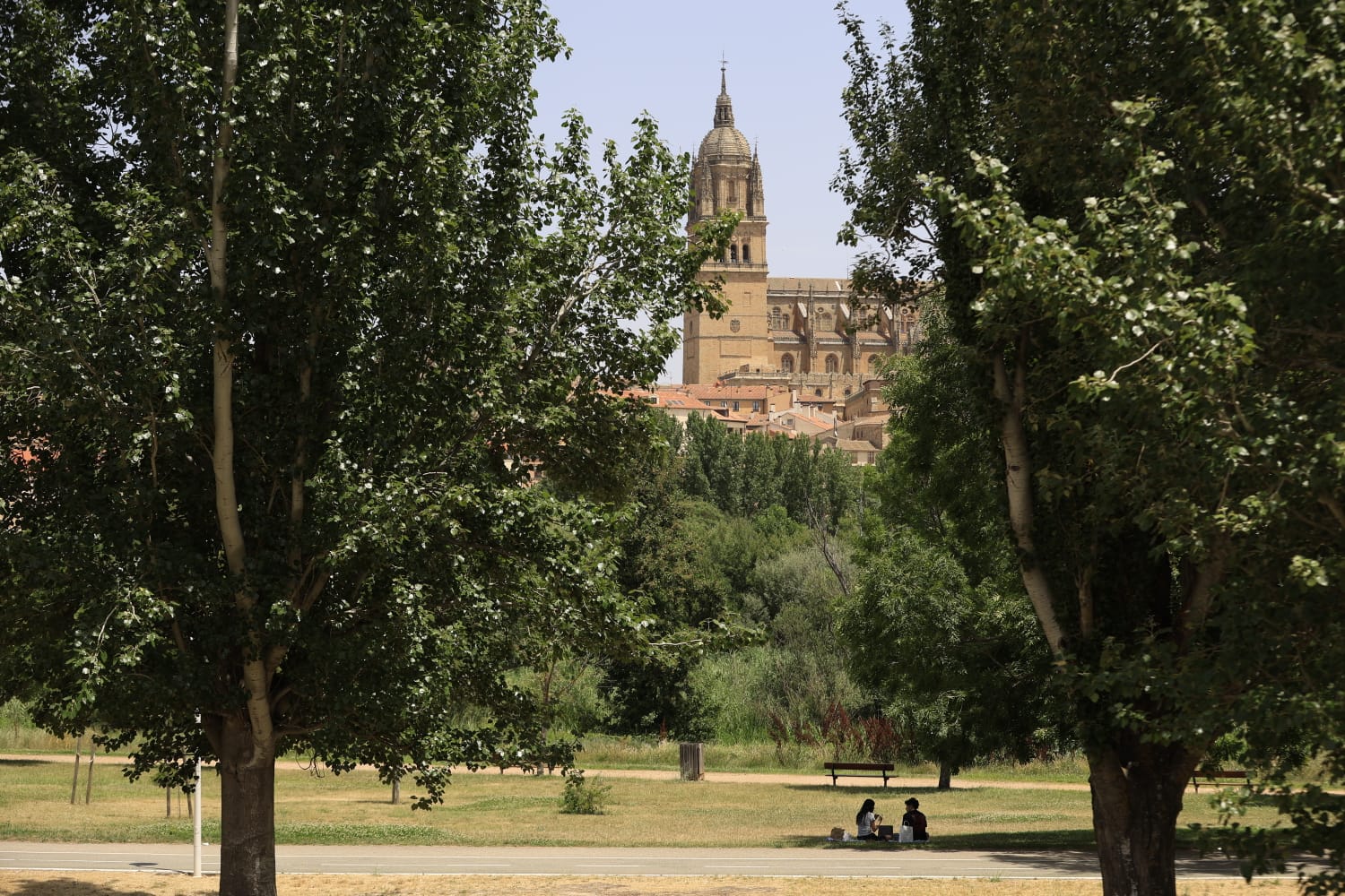 Las secuelas de la ola de calor en Salamanca, en imágenes