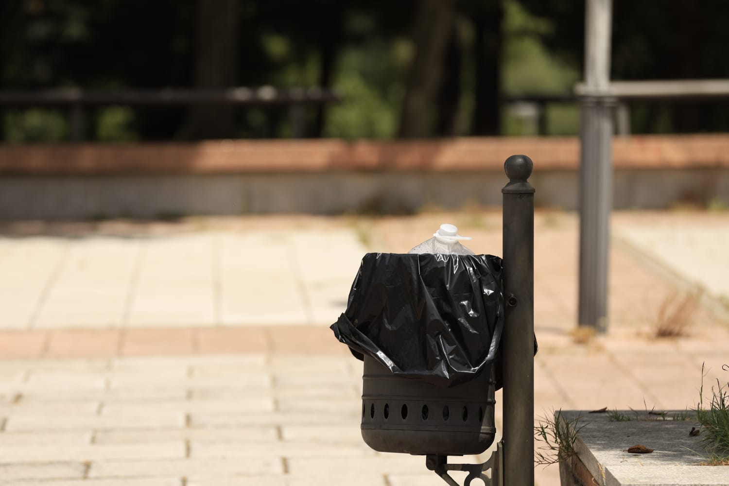 Las secuelas de la ola de calor en Salamanca, en imágenes