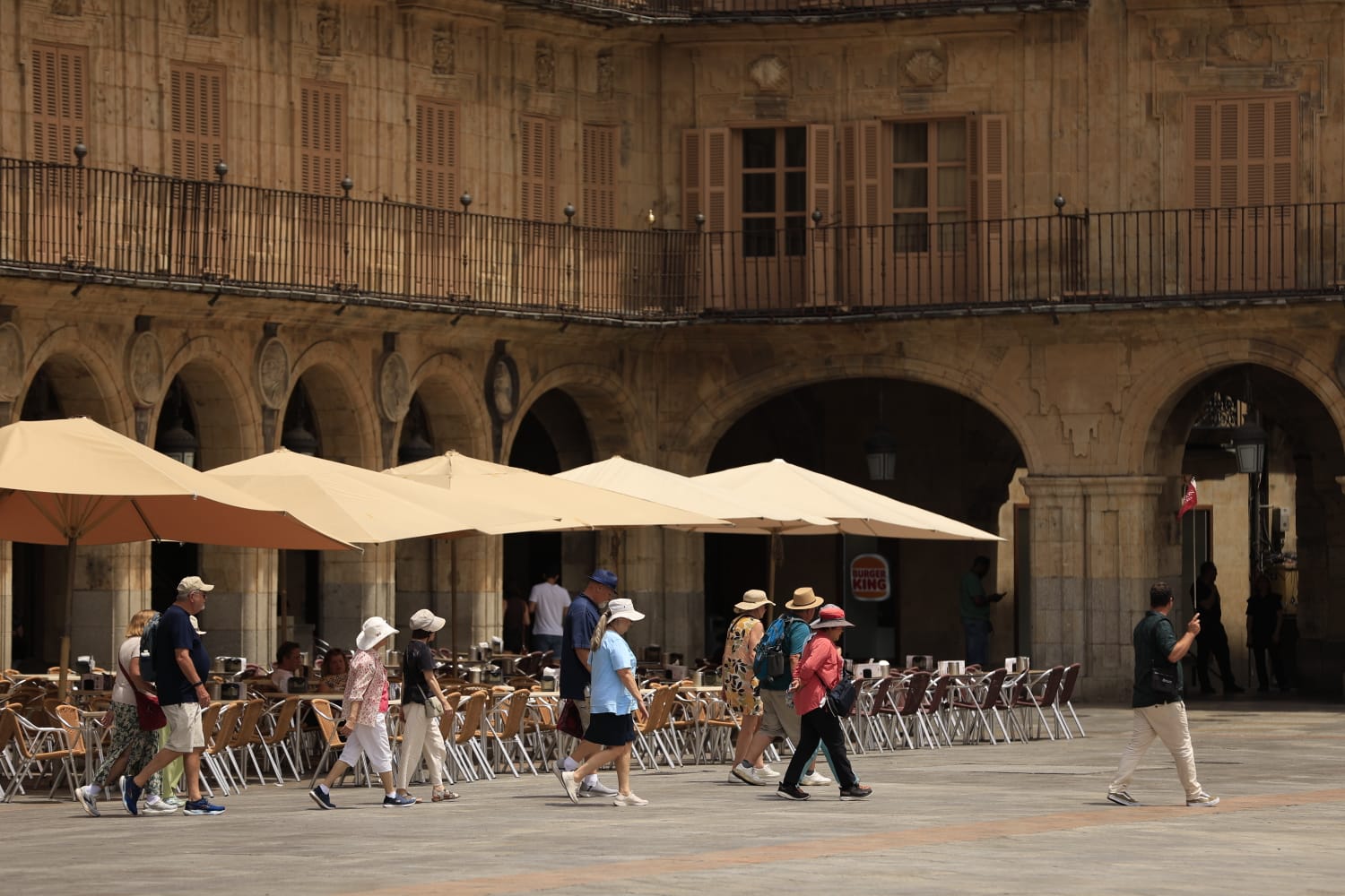 Las secuelas de la ola de calor en Salamanca, en imágenes