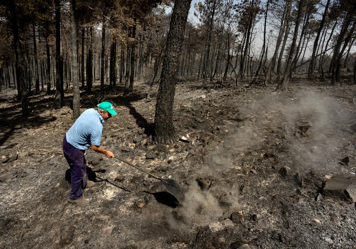 Incendio de Monsagro ocurrido en 2022