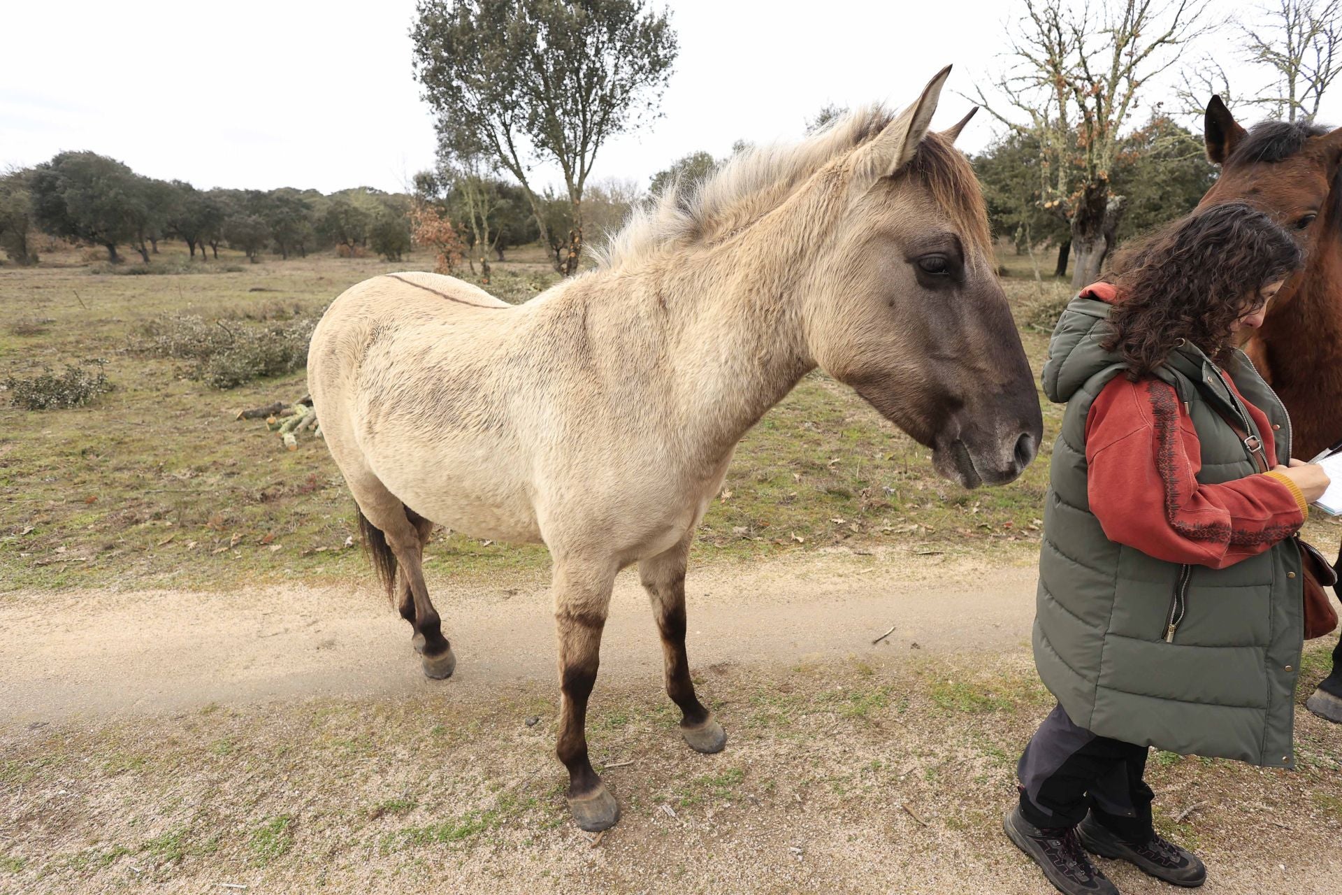 La reserva biológica refugio de especies amenazas en Salamanca