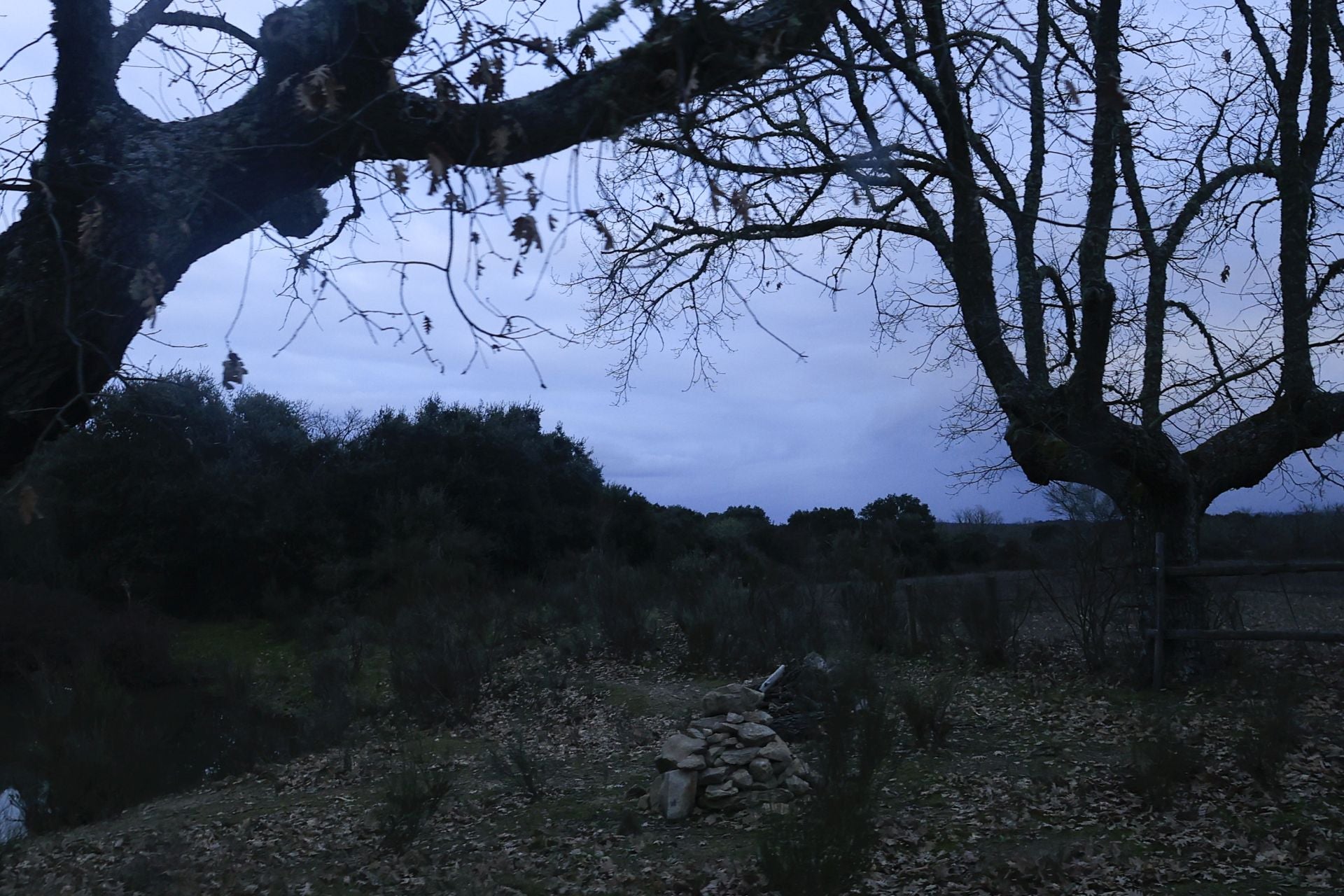 La reserva biológica refugio de especies amenazas en Salamanca