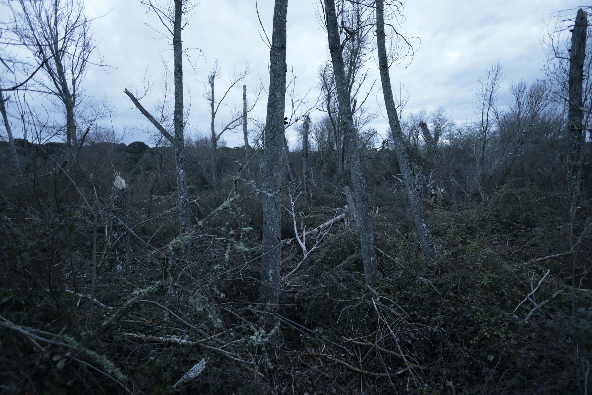 La reserva biológica refugio de especies amenazas en Salamanca
