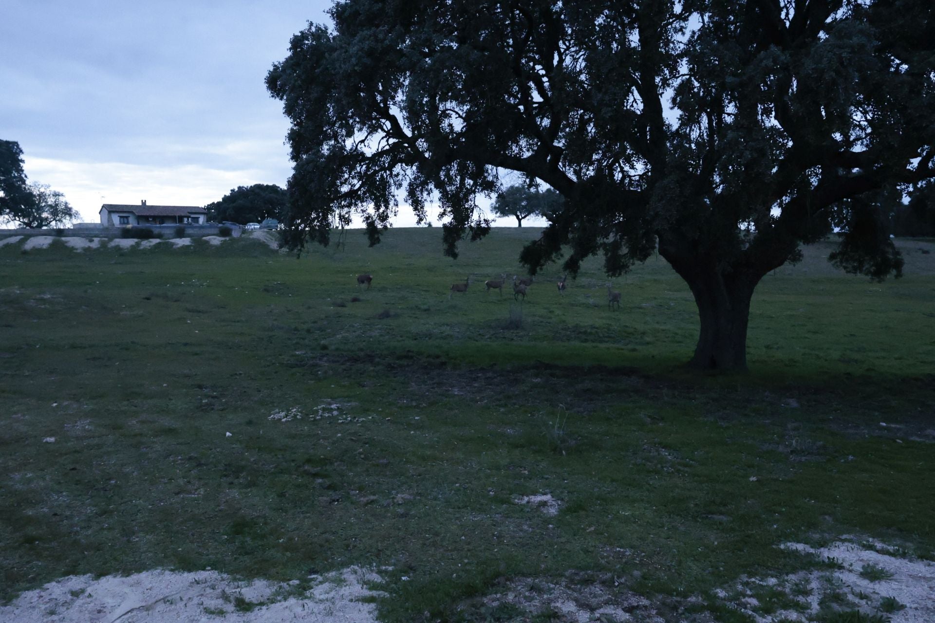 La reserva biológica refugio de especies amenazas en Salamanca
