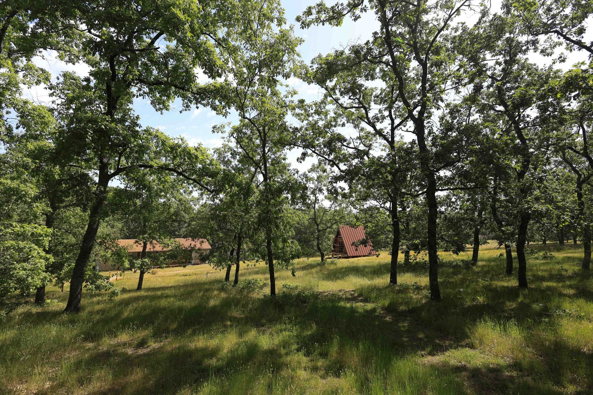El glamping de Salamanca como propuesta de turismo sostenible