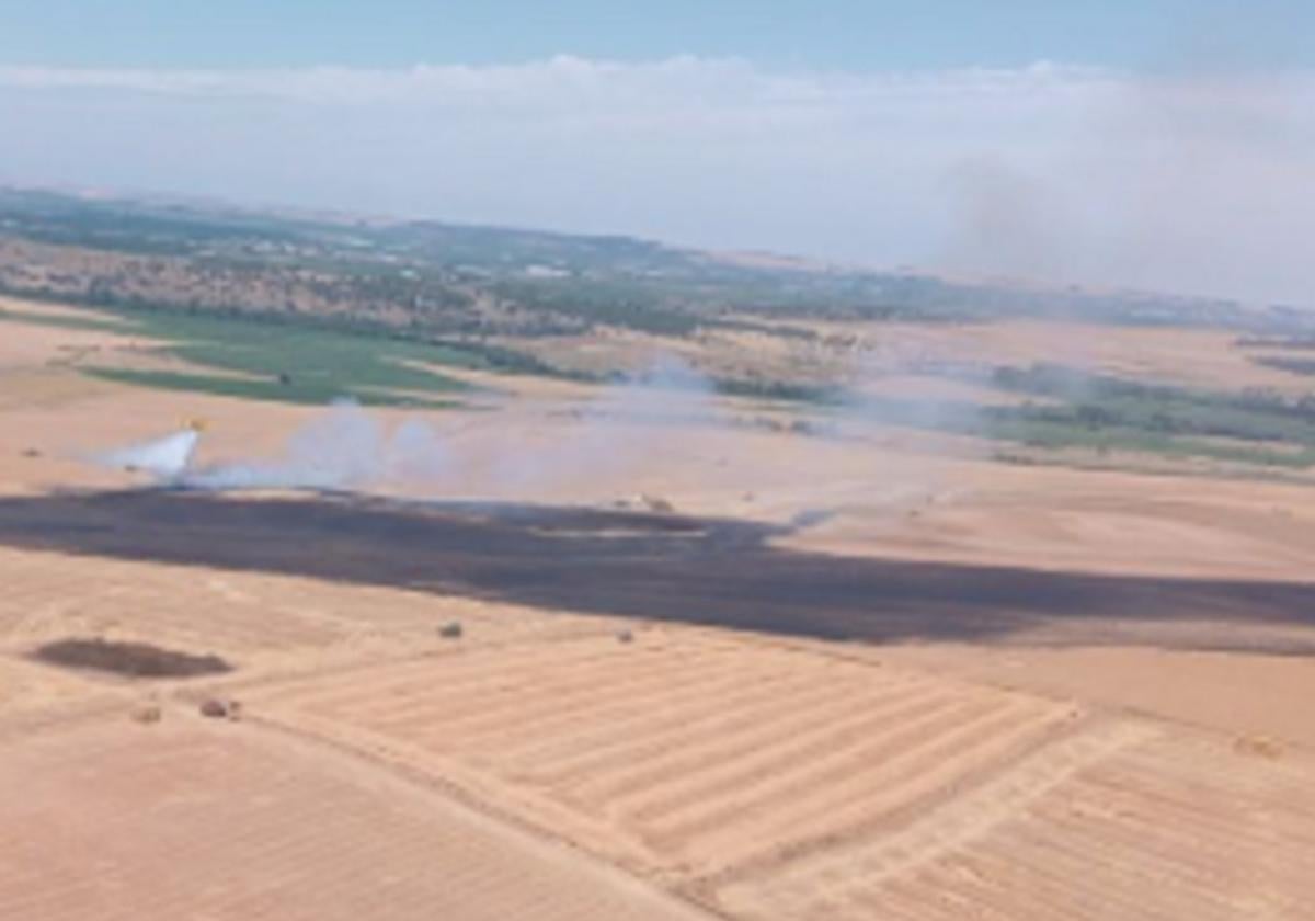 Zona afectada por el incendio en Amatos de Alba.