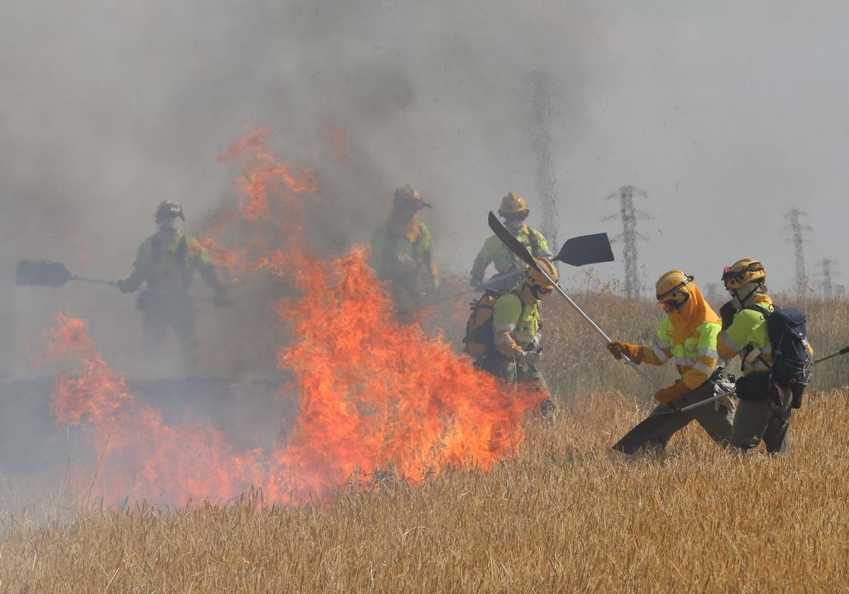 Bomberos actúan contra el fuego en una imagen de archivo.