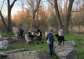 Talleres formativos en educación canina