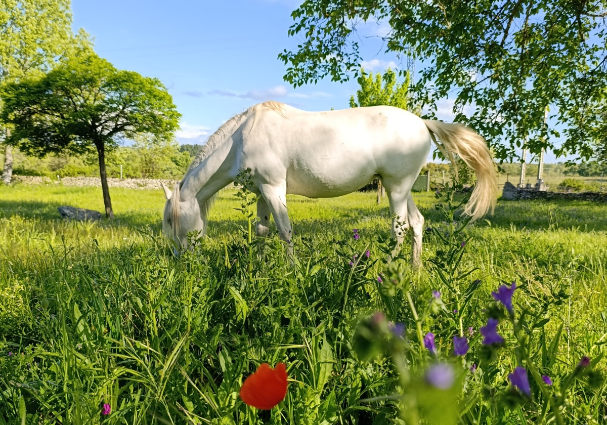 Imagen de Galeria