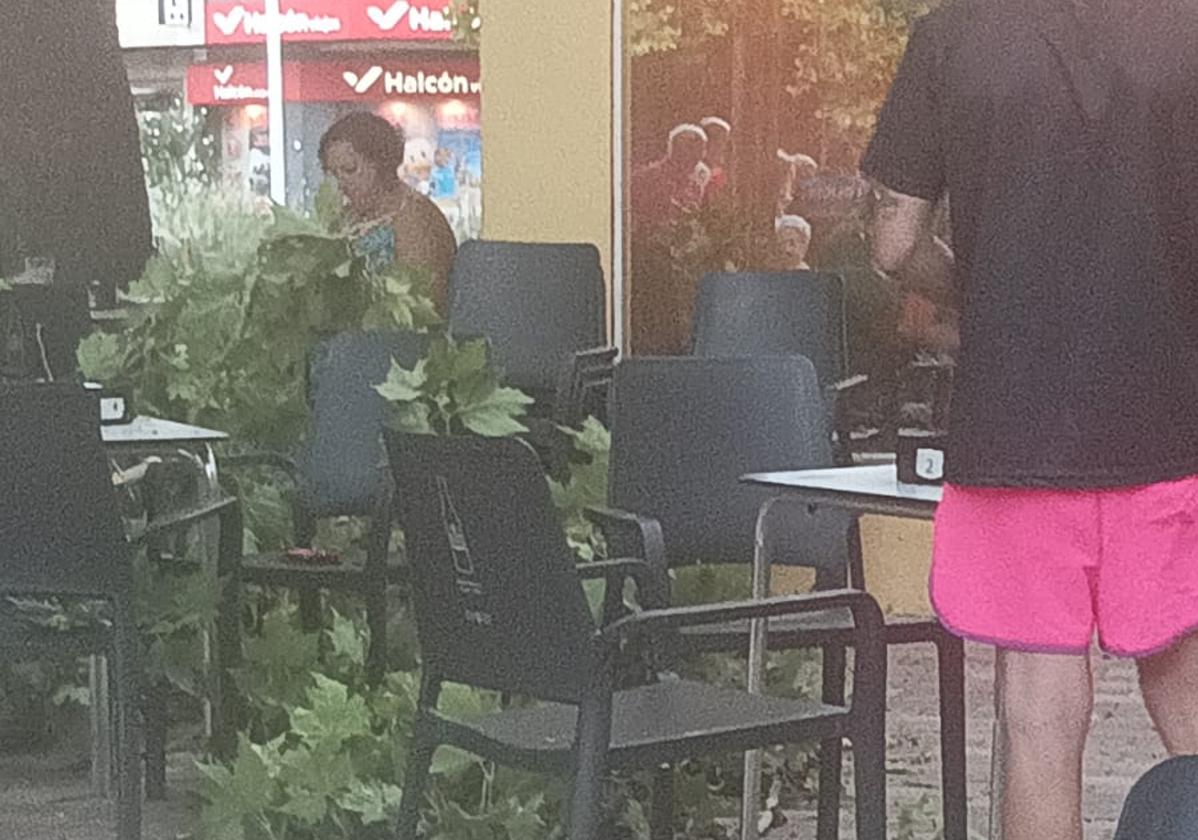 Cae una gran rama en plena terraza de La Alamedilla cuanto estaba llena de gente