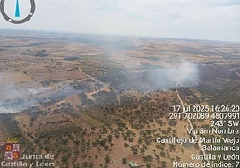 Incendio en Castillejo de Martín Viejo