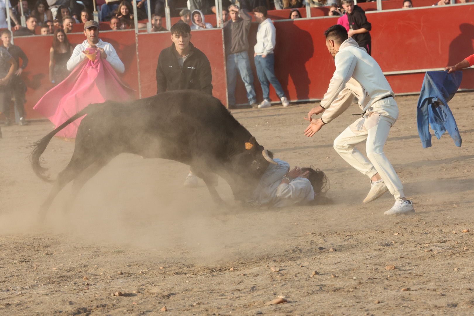 El Toro del Aguardiente en Santa Marta, en imágenes
