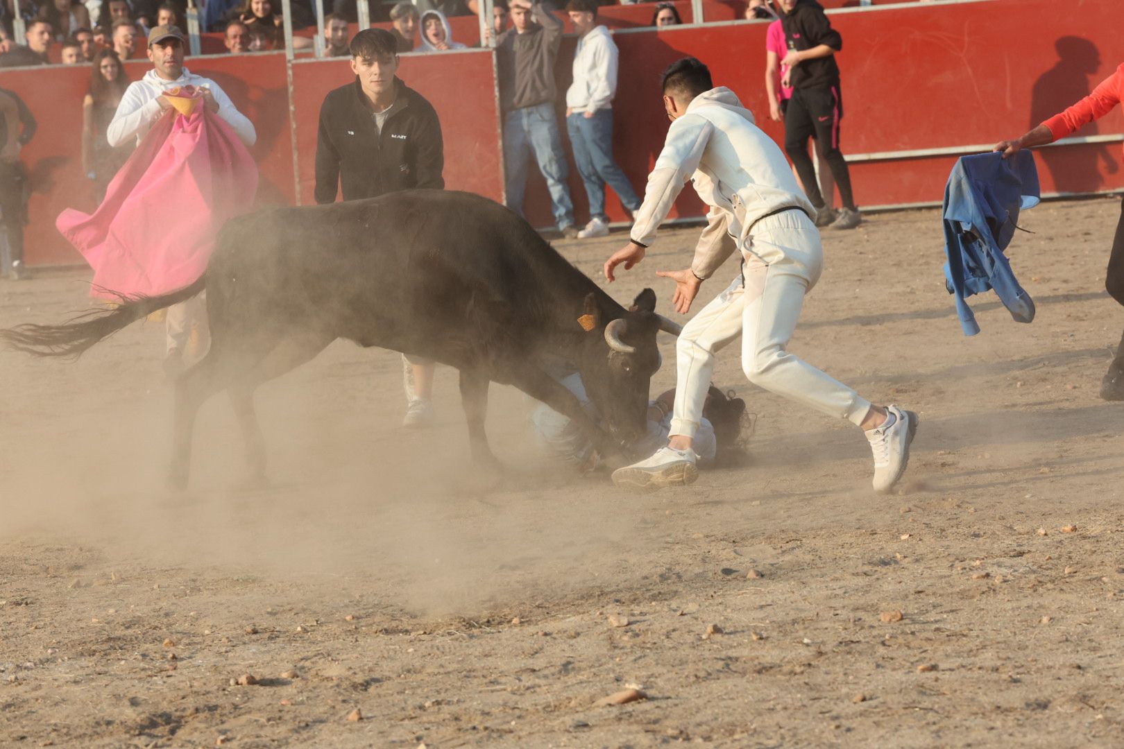 El Toro del Aguardiente en Santa Marta, en imágenes