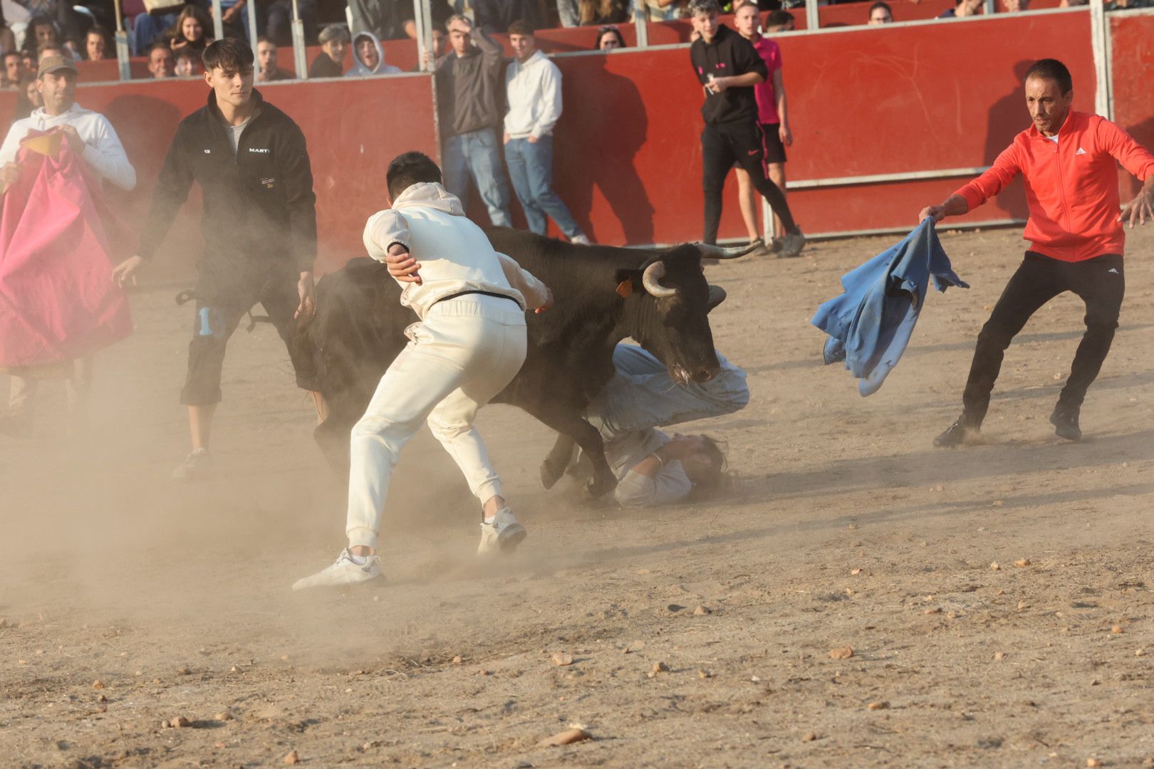 El Toro del Aguardiente en Santa Marta, en imágenes