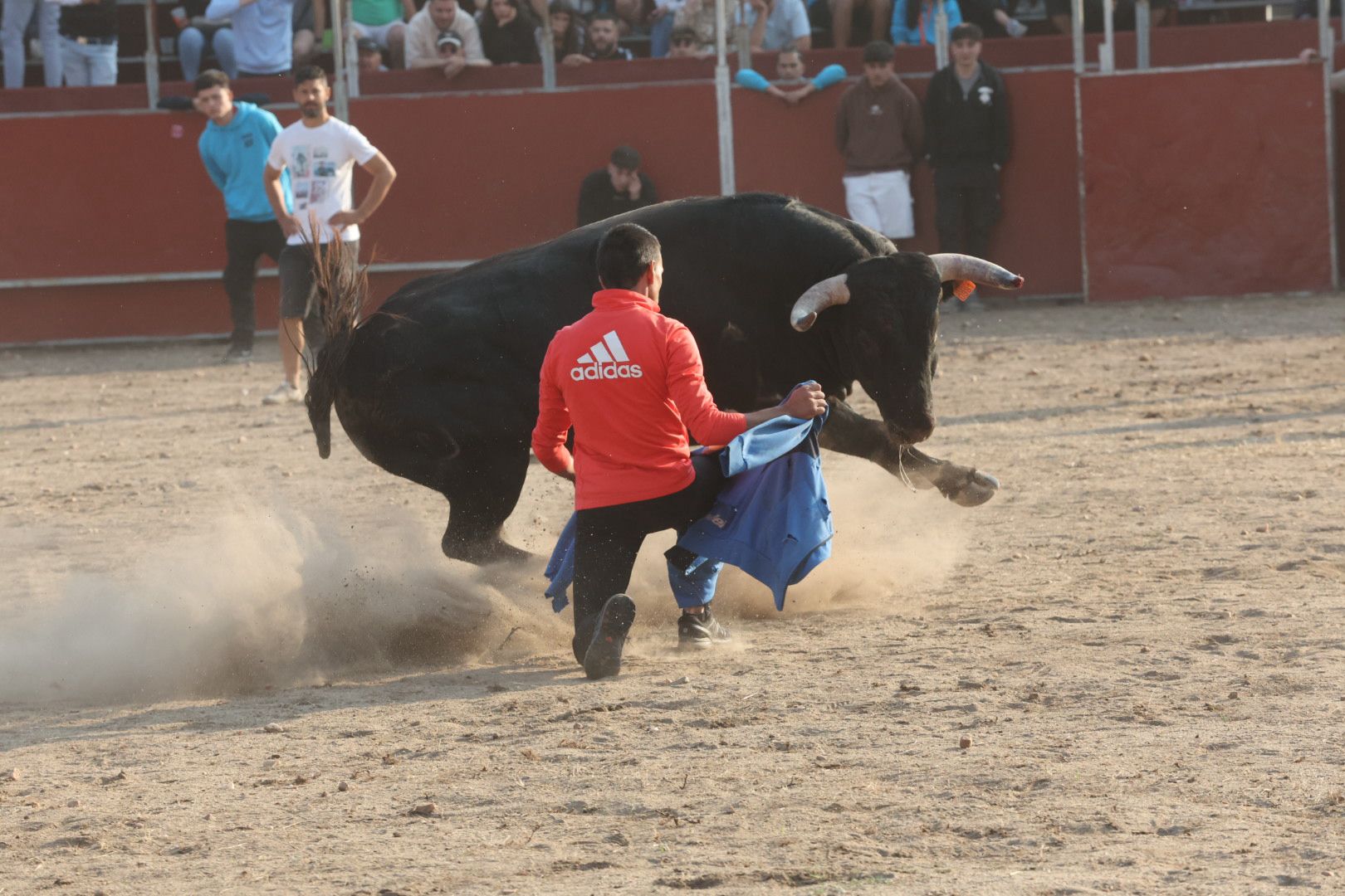 El Toro del Aguardiente en Santa Marta, en imágenes