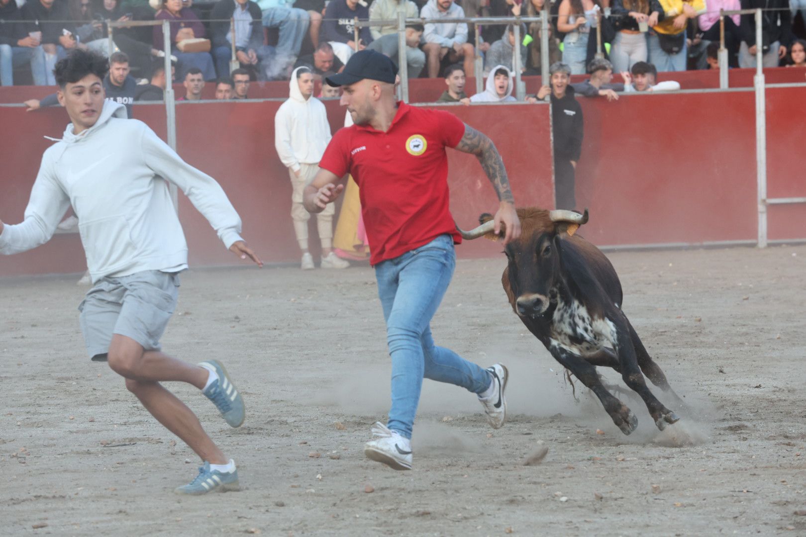 El Toro del Aguardiente en Santa Marta, en imágenes
