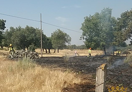 Superficie quemada en Peralejos de Arriba.