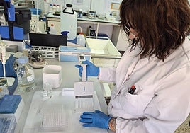 Preparación del test en el laboratorio.