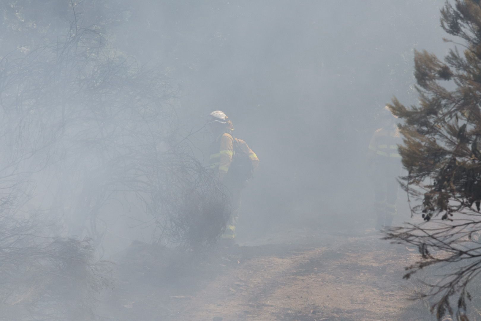 Las imágenes del incendio en La Alberca