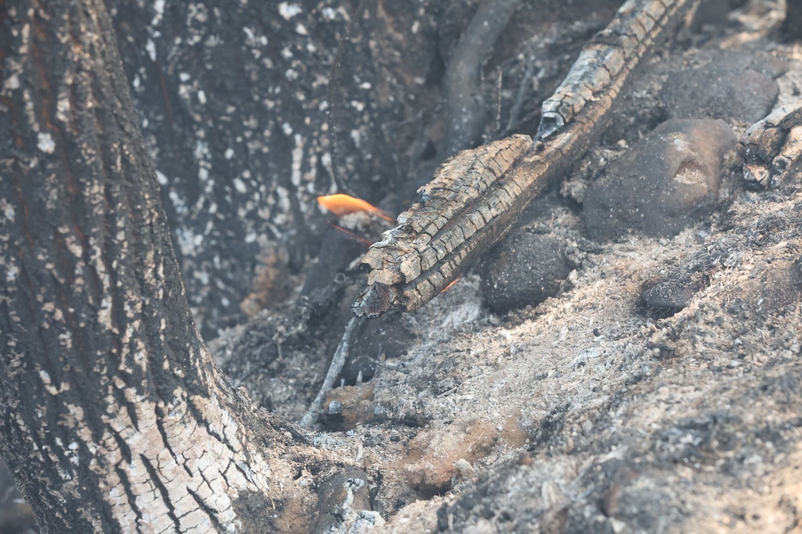 Las imágenes del incendio en La Alberca