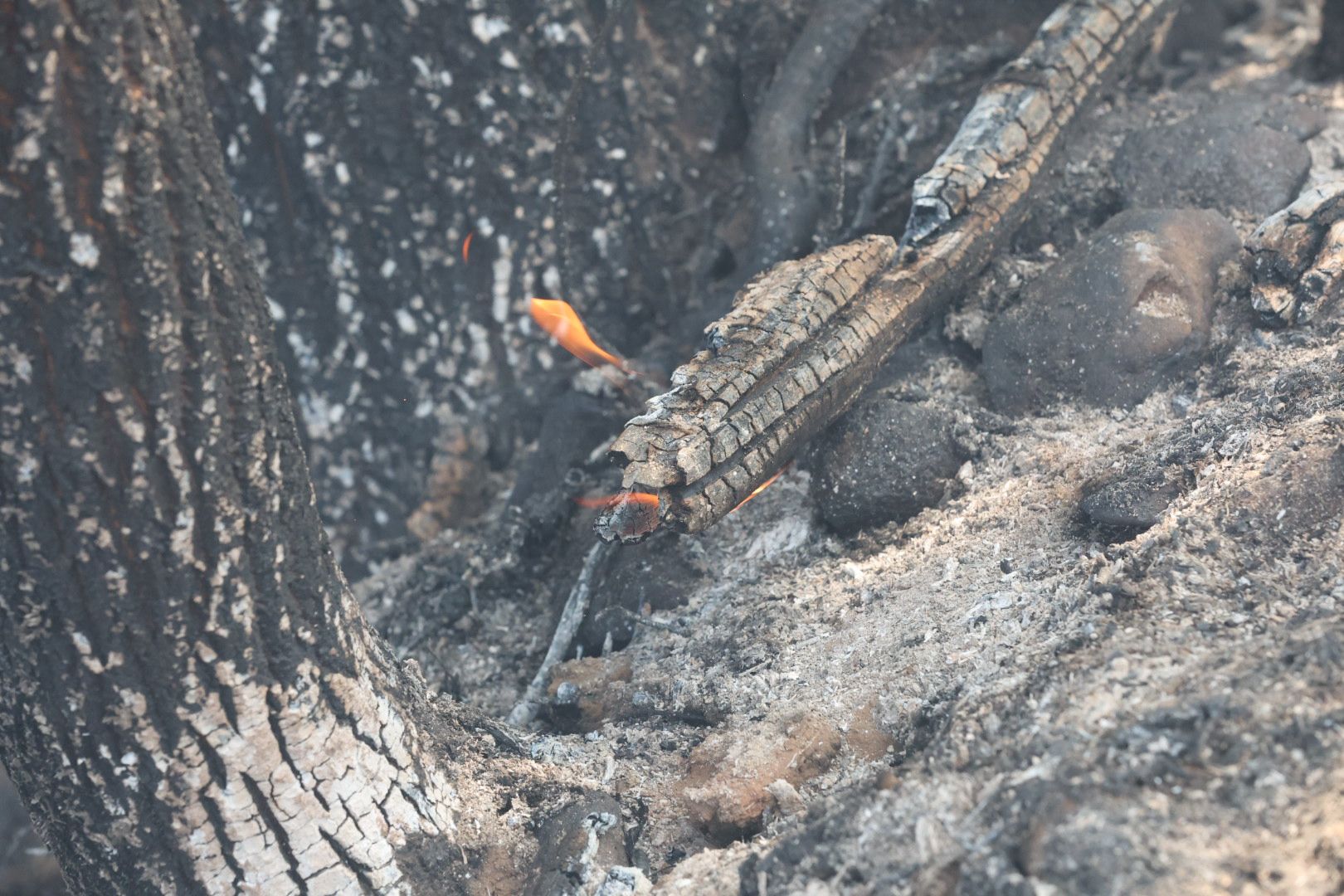 Las imágenes del incendio en La Alberca