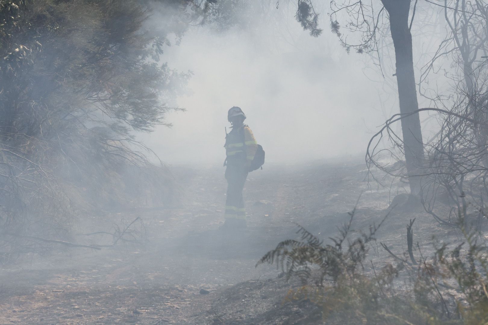 Las imágenes del incendio en La Alberca