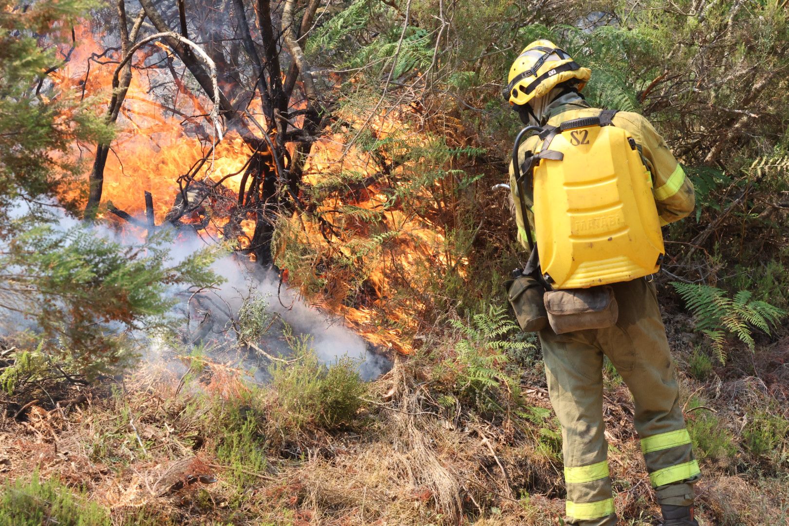 Las imágenes del incendio en La Alberca
