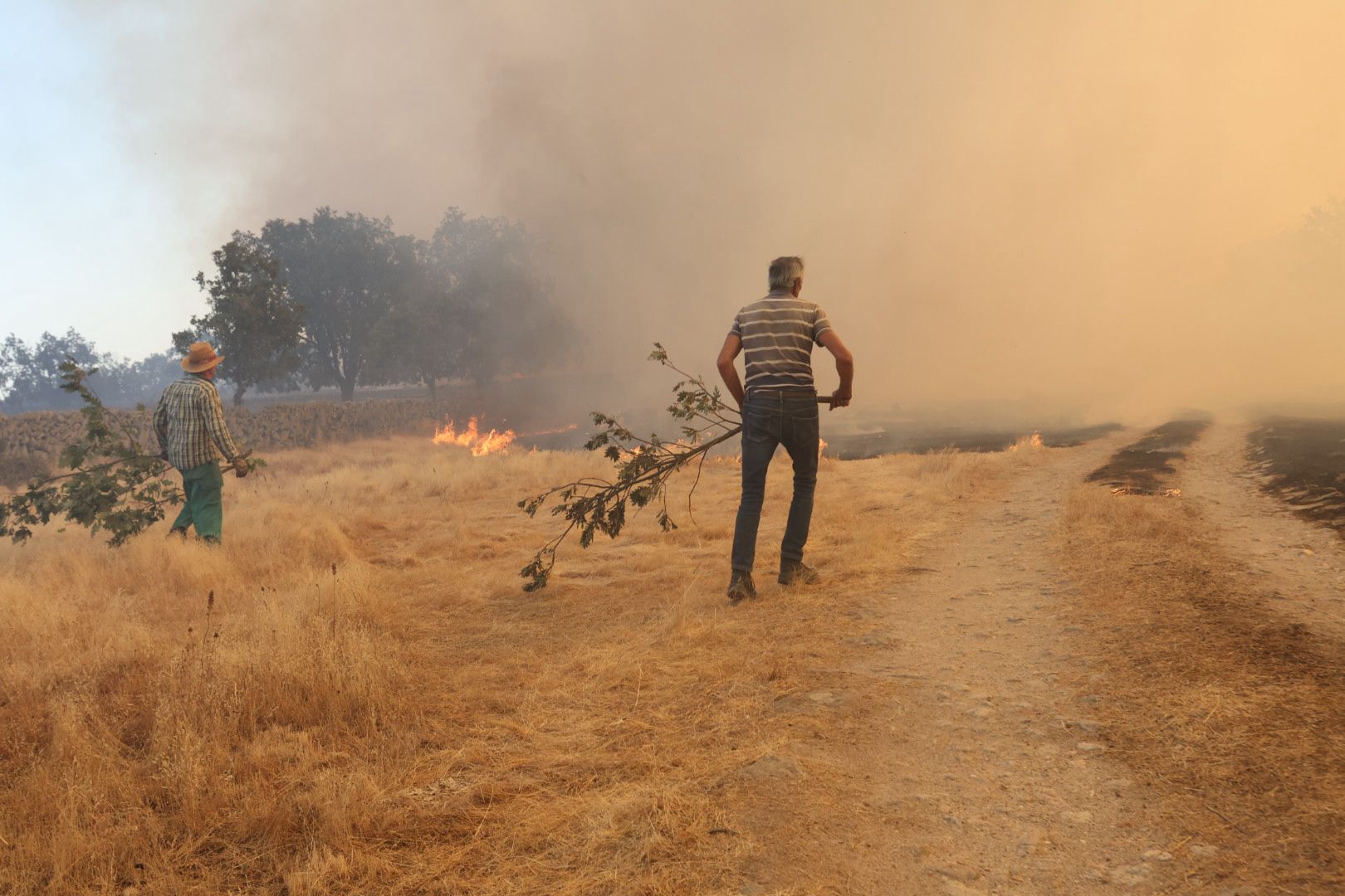 El incendio de Cipérez, en imágenes