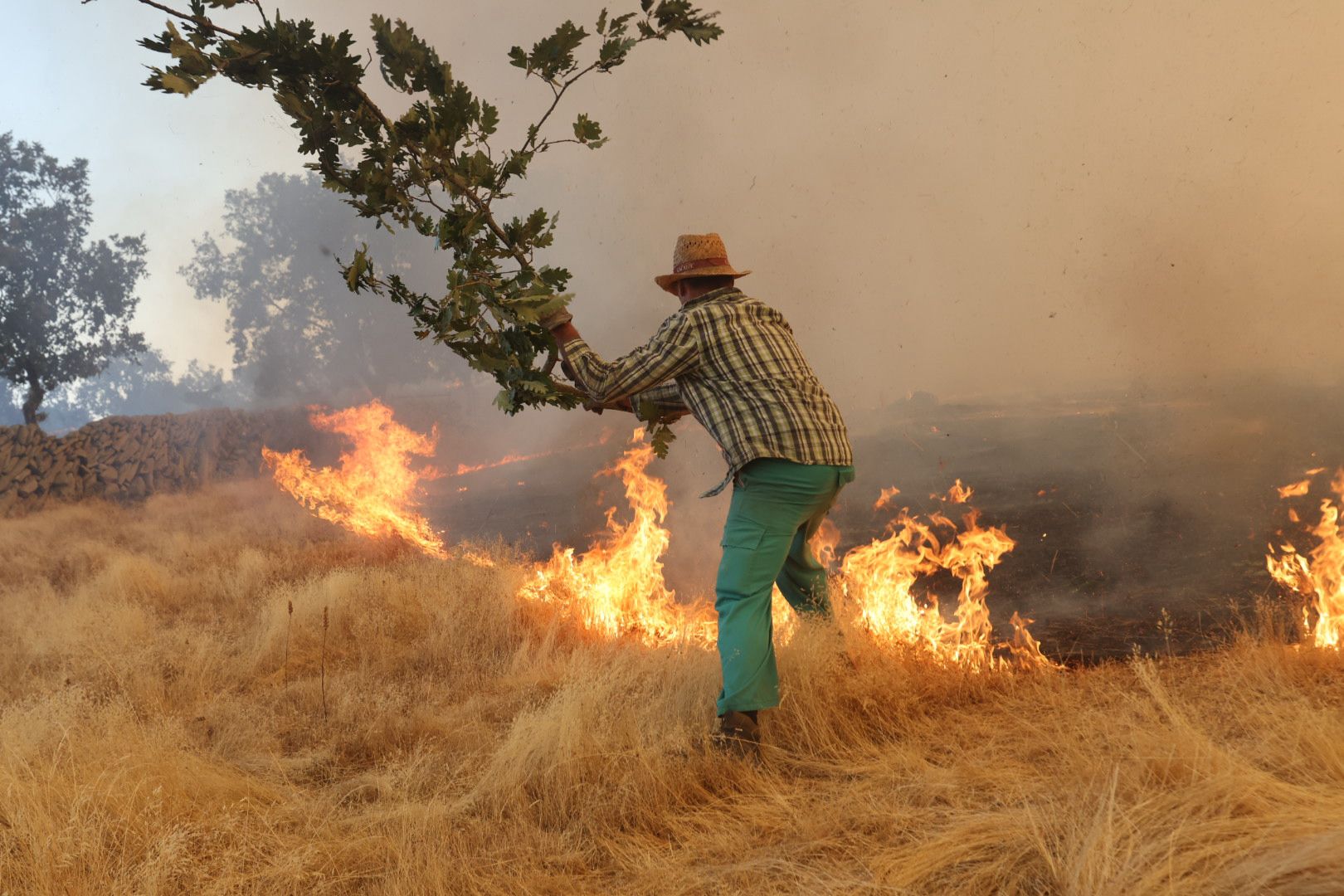 El incendio de Cipérez, en imágenes