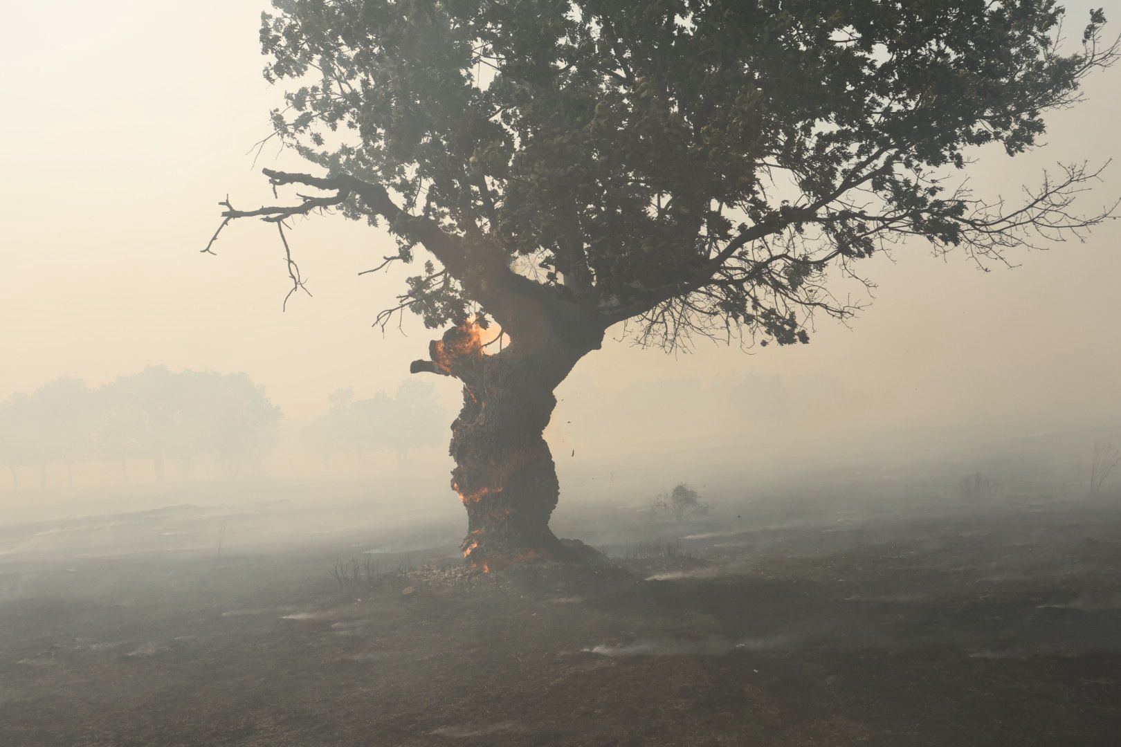El incendio de Cipérez, en imágenes