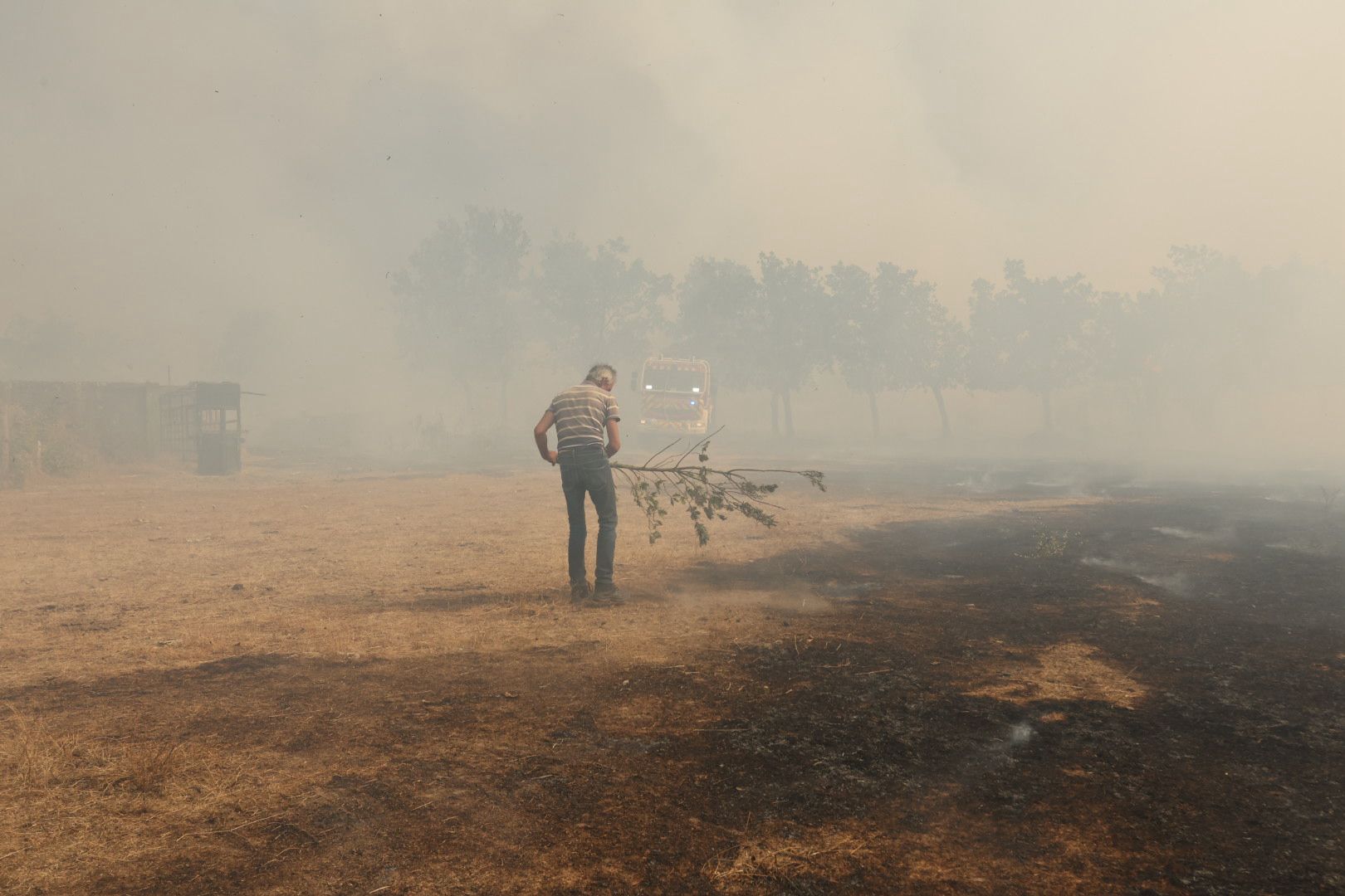El incendio de Cipérez, en imágenes
