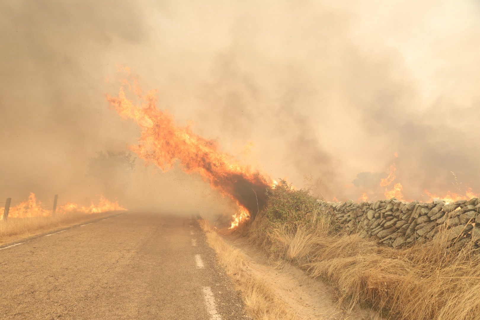El incendio de Cipérez, en imágenes