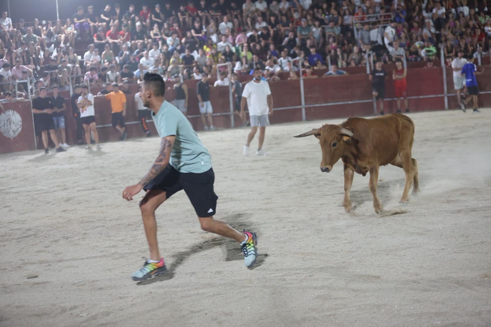Las vaquillas nocturnas y la orquesta La Misión, protagonistas en las fiestas de Carbajosa de la Sagrada