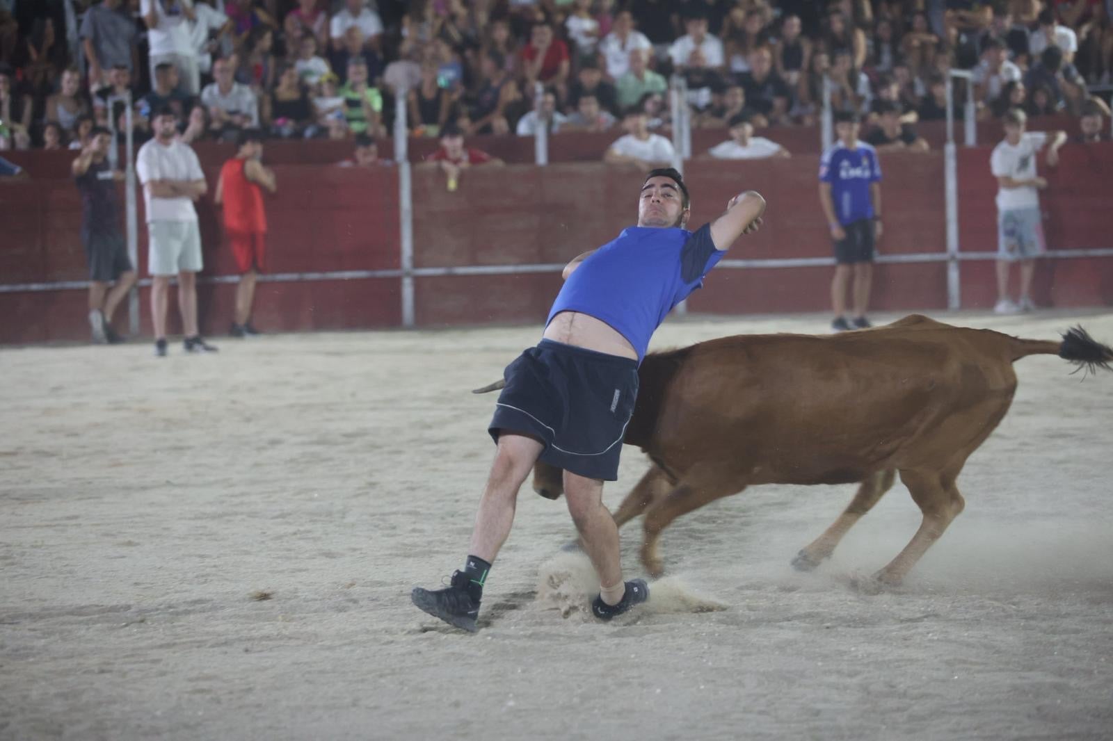 Las vaquillas nocturnas y la orquesta La Misión, protagonistas en las fiestas de Carbajosa de la Sagrada