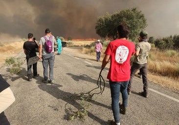 Desolación en la comarca de Vitigudino: casas arrasadas, negocios sentenciados y vidas paralizadas