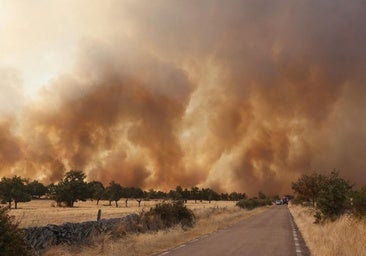 El paisaje en la comarca de Vitigudino bañado en negro y envuelto en una niebla de ceniza