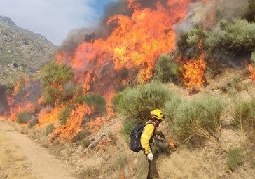 Ataque directo a las llamas para frenar el incendio de Jarilla en Candelario