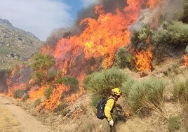Las llamas en el frente de Jarilla, en la cuerda que divide el Valle del Jerte y el Ambroz, por encima de la localidad de El Tornadizo