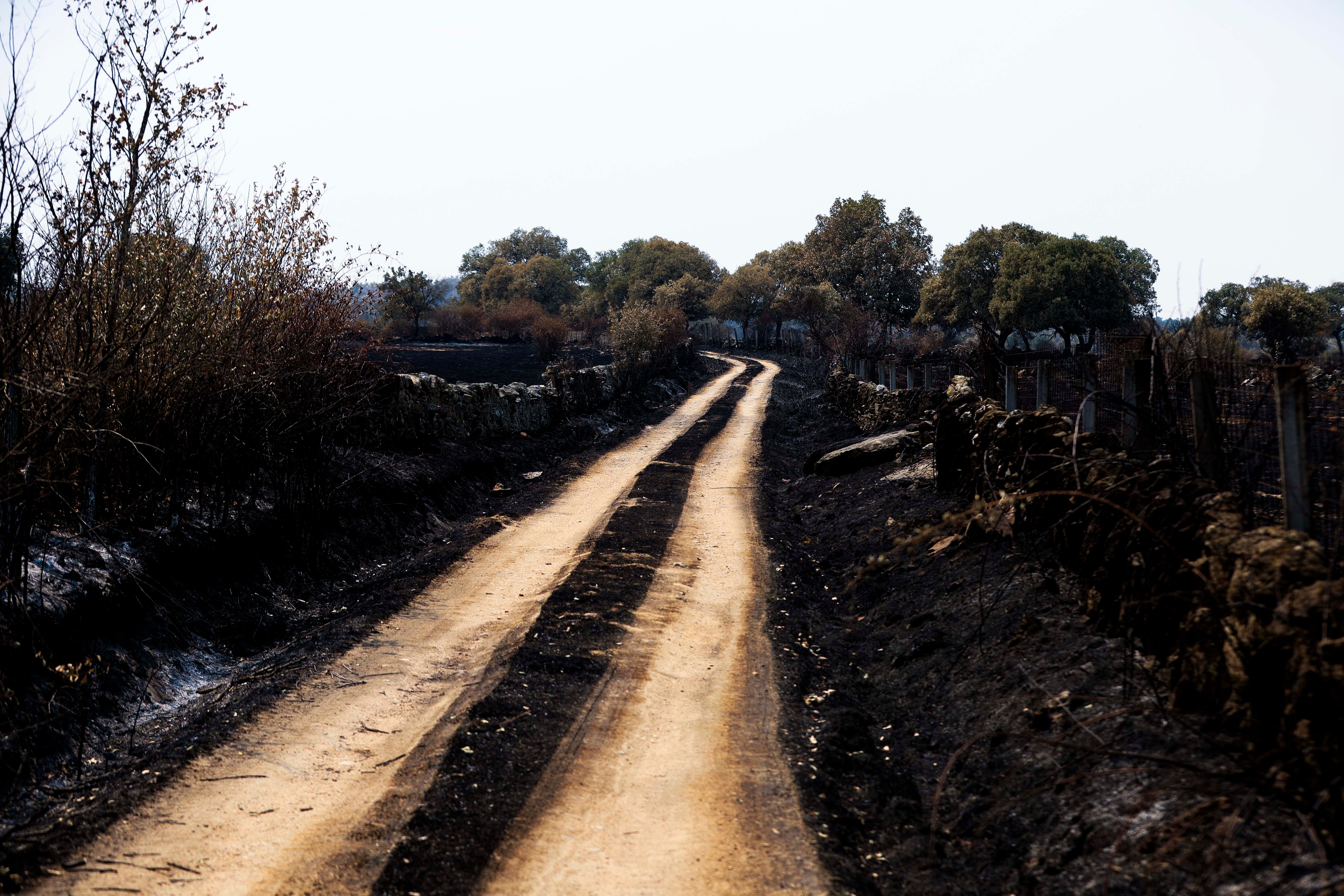 En imágenes, el rastro negro del mayor incendio de la provincia de Salamanca