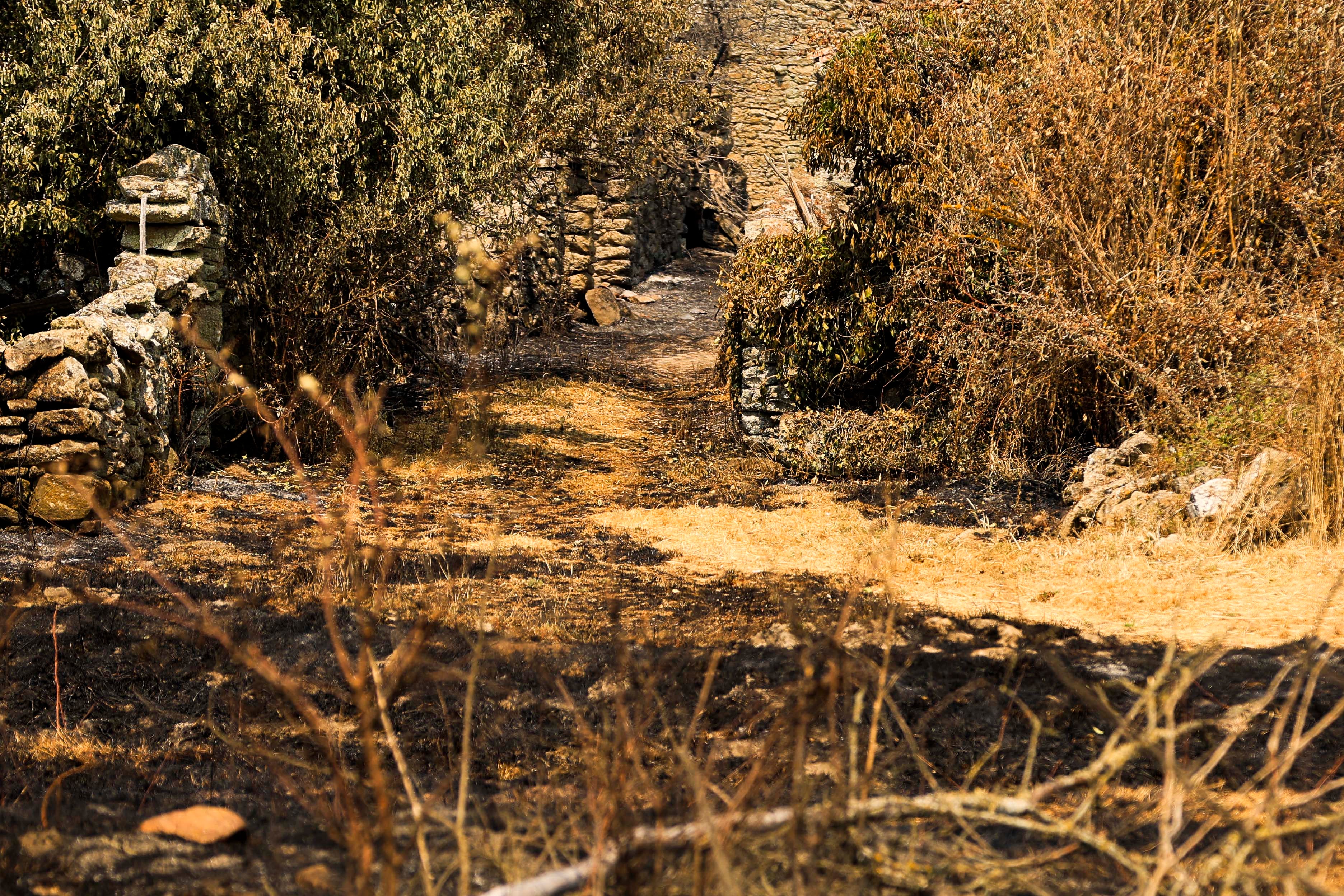 En imágenes, el rastro negro del mayor incendio de la provincia de Salamanca