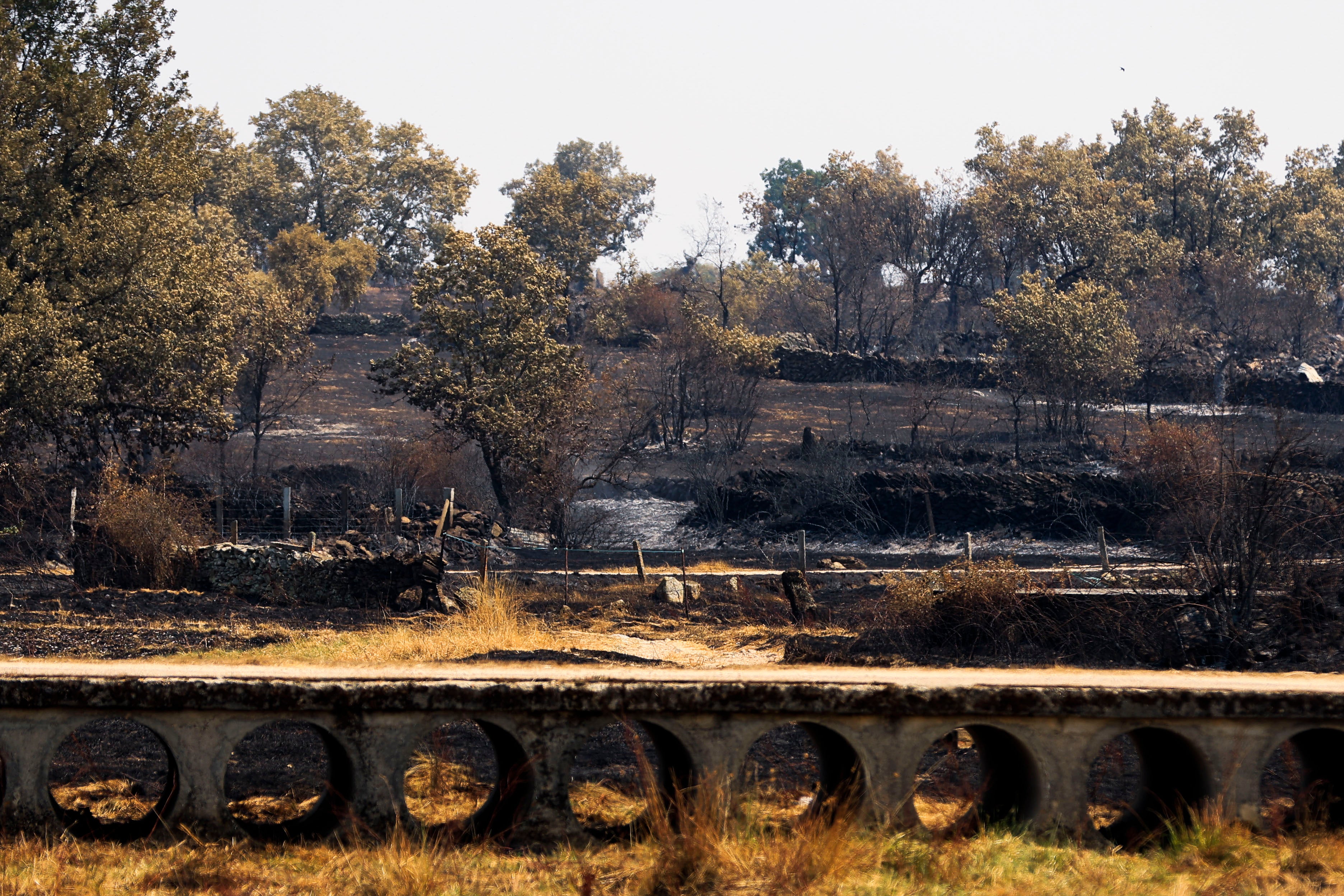 En imágenes, el rastro negro del mayor incendio de la provincia de Salamanca
