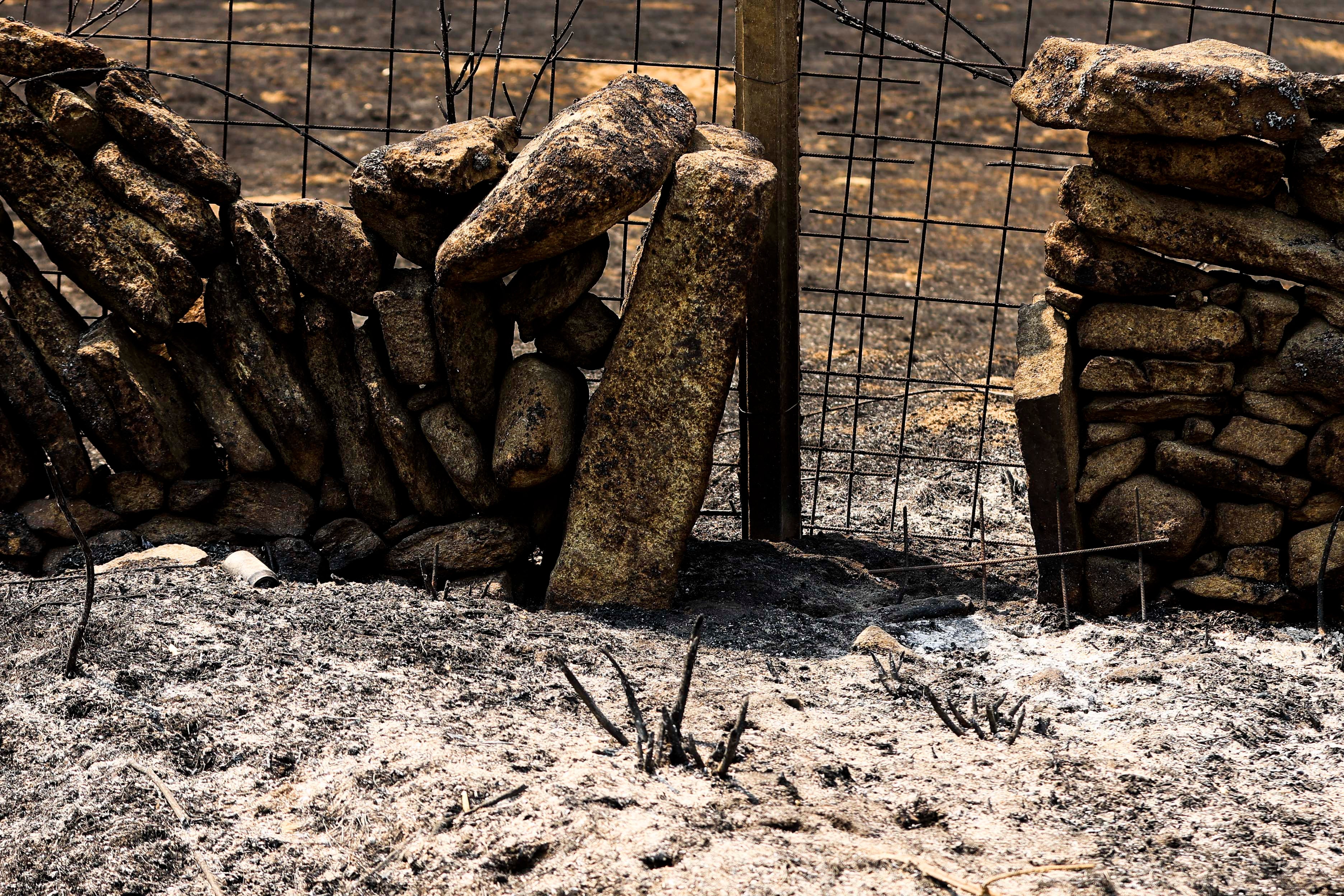 En imágenes, el rastro negro del mayor incendio de la provincia de Salamanca