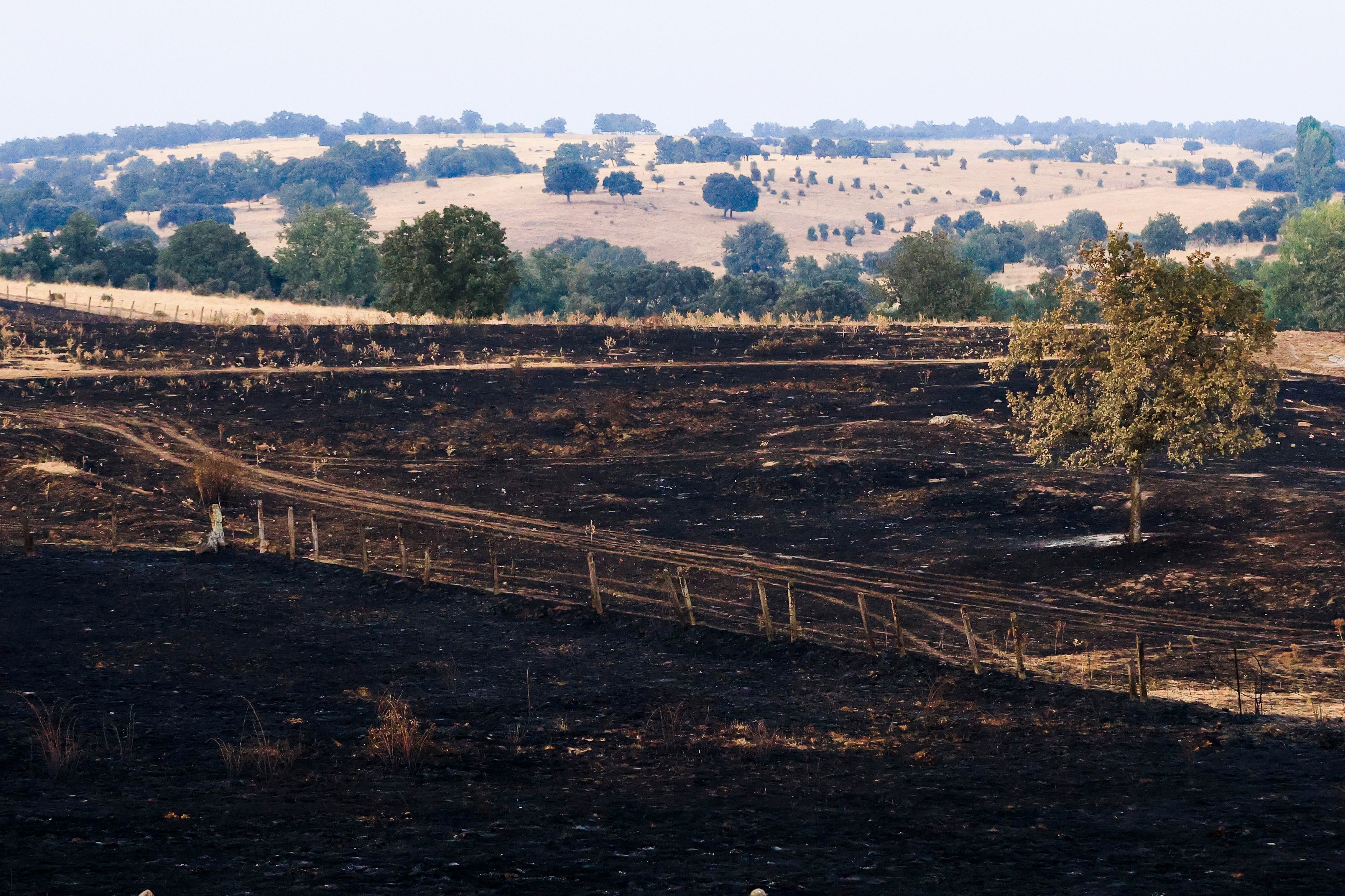 En imágenes, el rastro negro del mayor incendio de la provincia de Salamanca